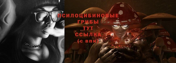 мяу мяу мука Аркадак