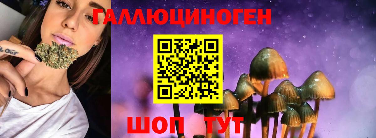 Полысаево  Псилоцибиновые грибы ЛСД  Псилоцибиновые грибы GOLDEN TEACHER  Вход с VPN 