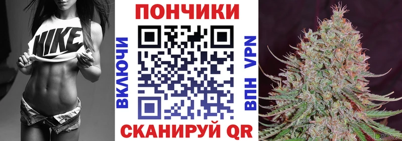 Бошки Шишки THC 21%  Полысаево 